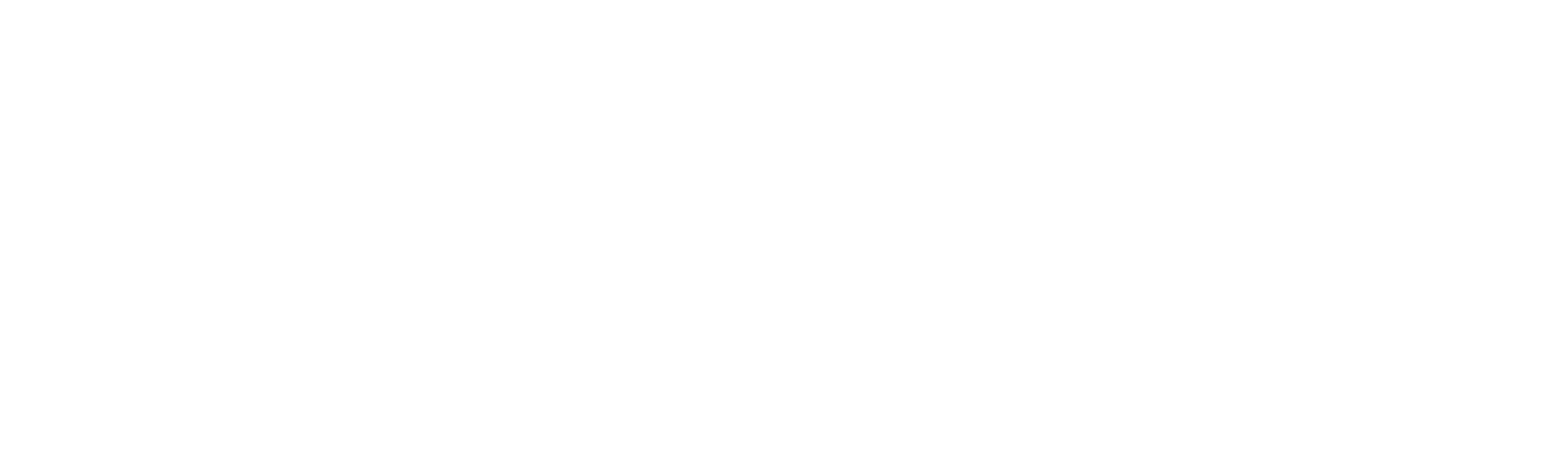 Peppy Infotech Logo